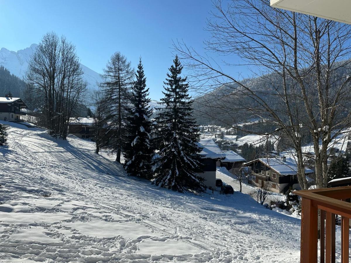 Les Bouquetins Apartment La Clusaz Exterior foto